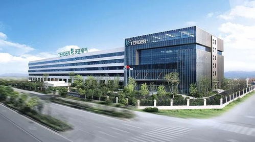 柳市電氣成功上市，“中國電器之都”三巨頭資本市場會師
