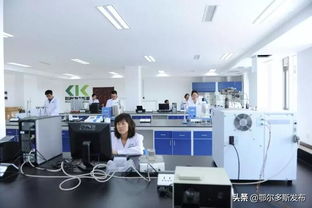 鄂爾多斯再出科技新政 技術開發與轉讓最高補貼3000萬，賦能區域創新高地建設